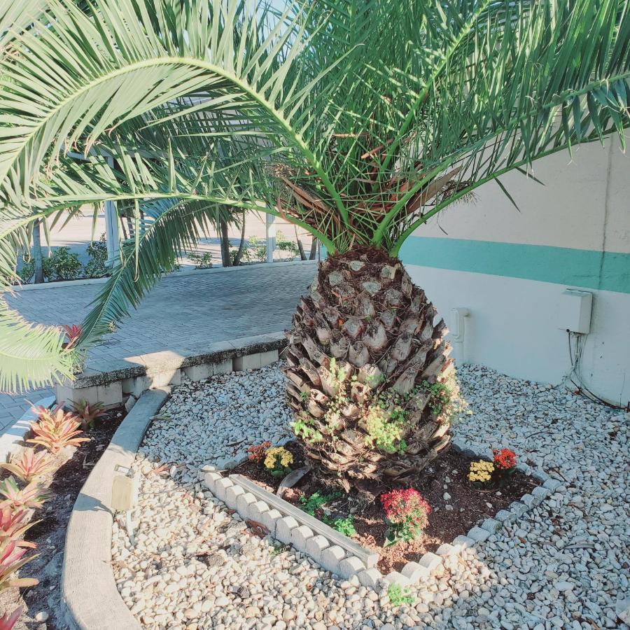 Tropical Palm Motel North Fort Myers Buitenkant foto
